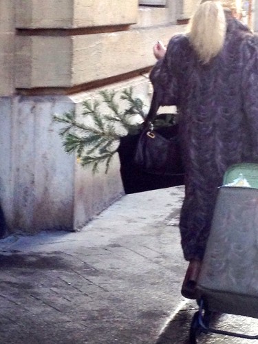 woman with christmas tree branch