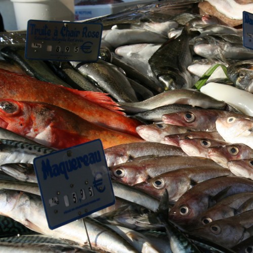 fish market