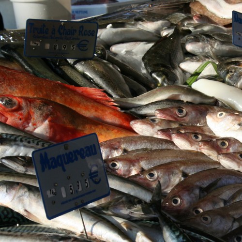 fish market