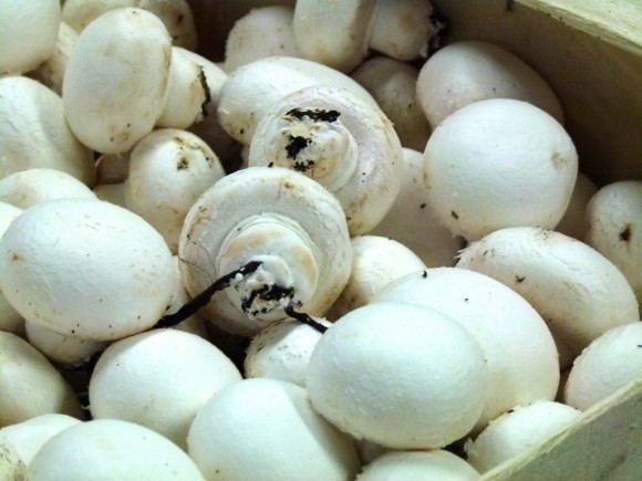 chef morgan white mushrooms