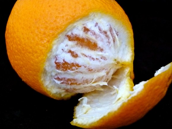 ripe orange 