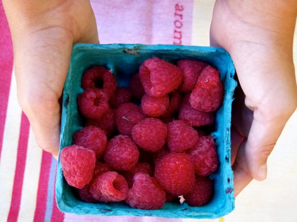 fresh raspberries in a girls hands