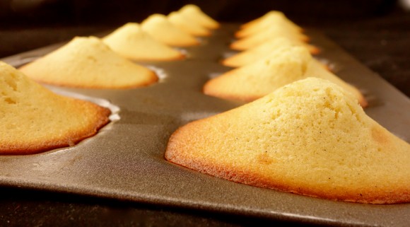 vanilla bean Madeleines for valentines day fresh out of the oven