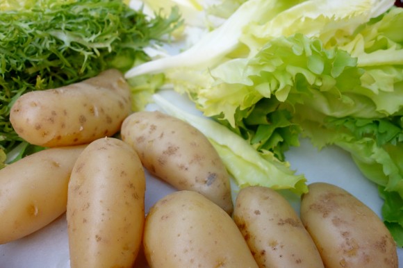 potatoes, friseé, endive and radicchio 