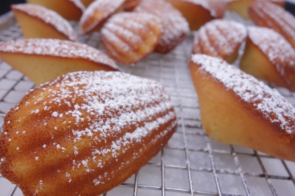 the perfect Madeleines dusted with powdered sugar