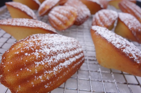 vanilla bean Madeleines for valentines day