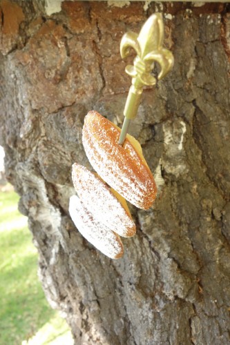cupids bow with three powdered sugar dusted madeleines in a tree