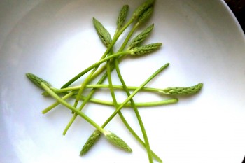 chef morgan wild asparagus