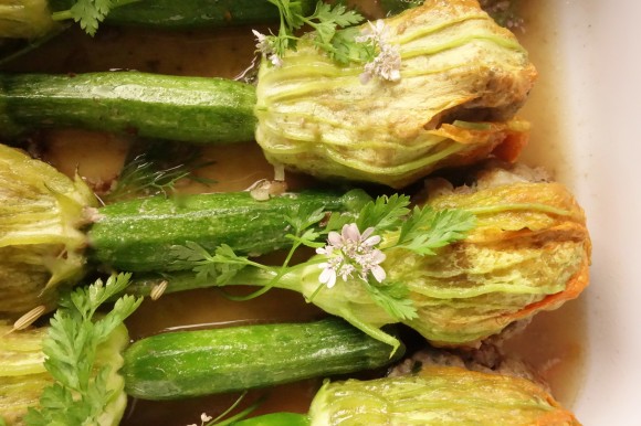 chef morgan zucchini blossoms