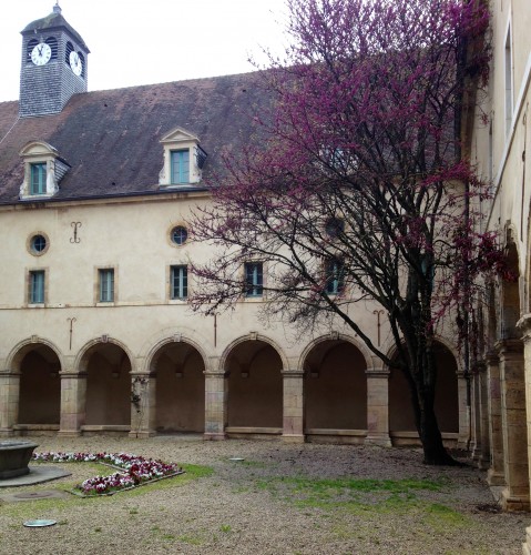 musée chef morgan a table Dijon